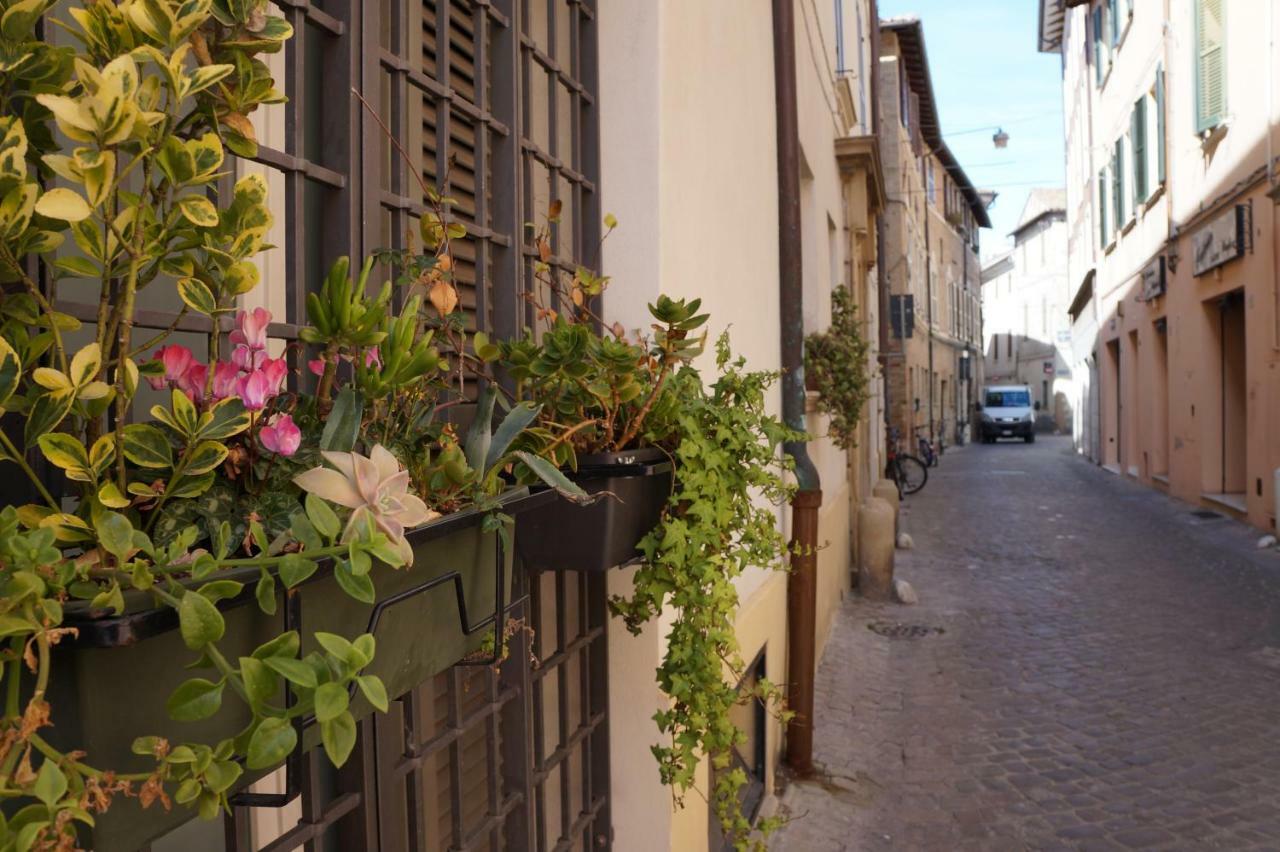 Il Vicolo 48 Bed & Breakfast Pesaro Exterior photo
